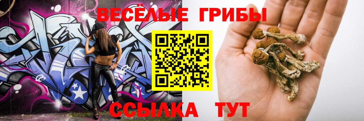 Галлюциногенные грибы Cubensis Лесозаводск