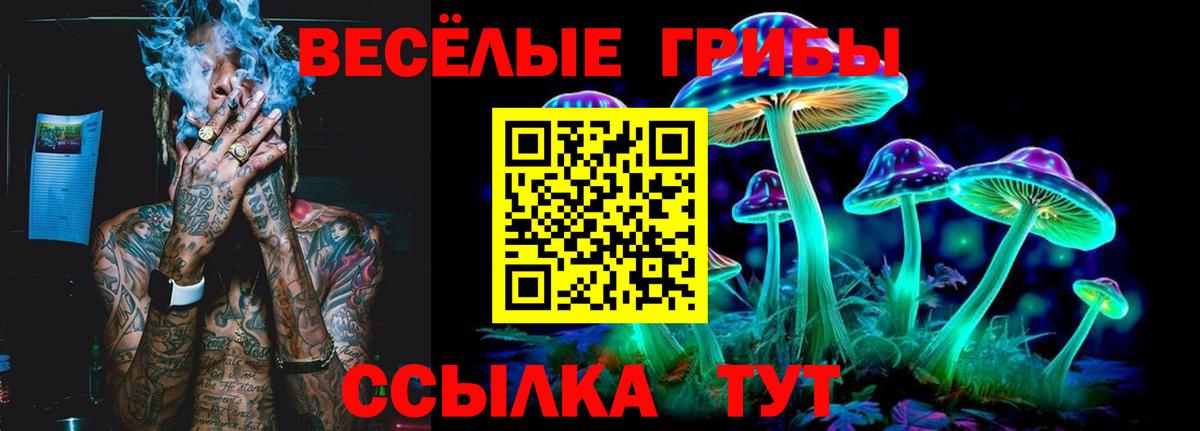 Псилоцибиновые грибы Magic Shrooms  Вход с VPN  Галлюциногенные грибы GOLDEN TEACHER  Лесозаводск 